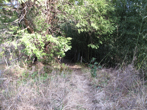 20160121hike (22)